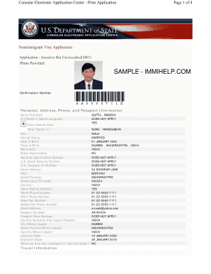 sample visa application